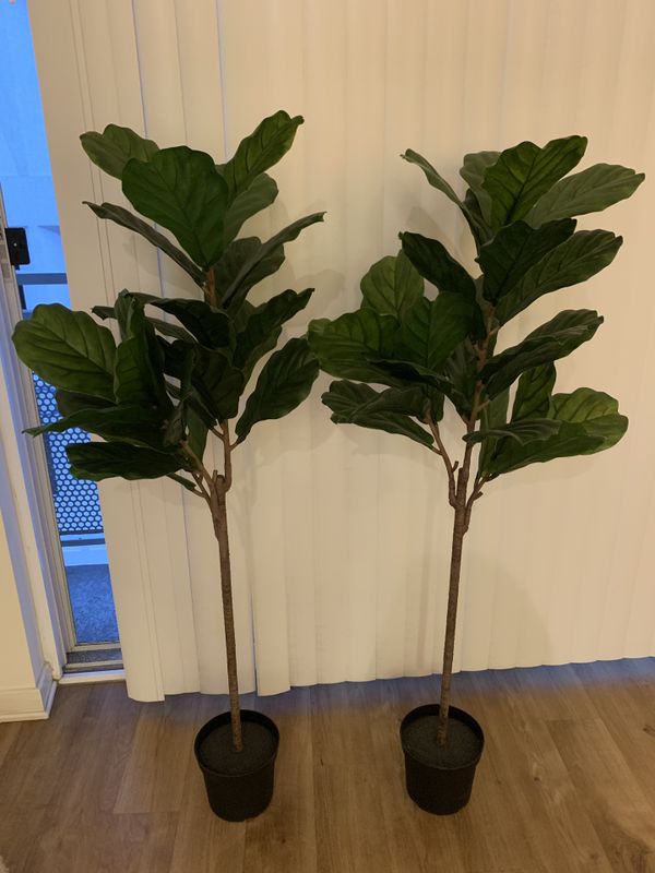 TWO ARTIFICIAL Ikea fiddle leaf trees for Sale in Los Angeles, CA OfferUp
