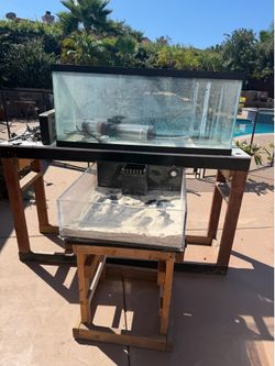 80 gallon fish tank