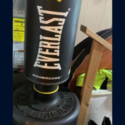Standing Punching Bag