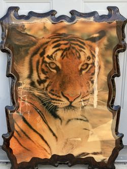 Stunning Framed Tiger Print