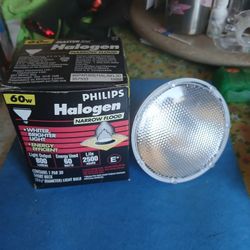 Philips Halogen Lamp 