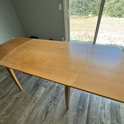 Expandable Dining Table IKEA $100