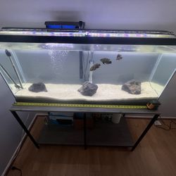 75 Gallon Tank With Stand (Everything Included) NO FISH FOR SALE 