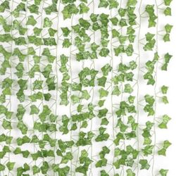 Plant Wall Decoration 