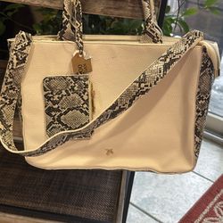 Purse From Turkey 