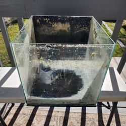 14 G Rimless Fish Tank 