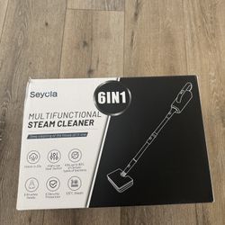 Steam Cleaner With 6 Brushes