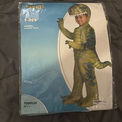 T-Rex 🦖.  Costume.