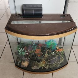 30 Gal Glass Fishtank 