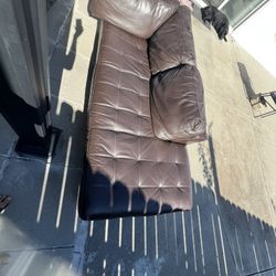Free section couch