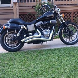 2000 Harley Fxd