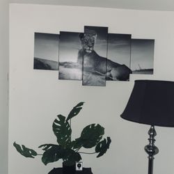 5 piece lion Canvas Wall Art