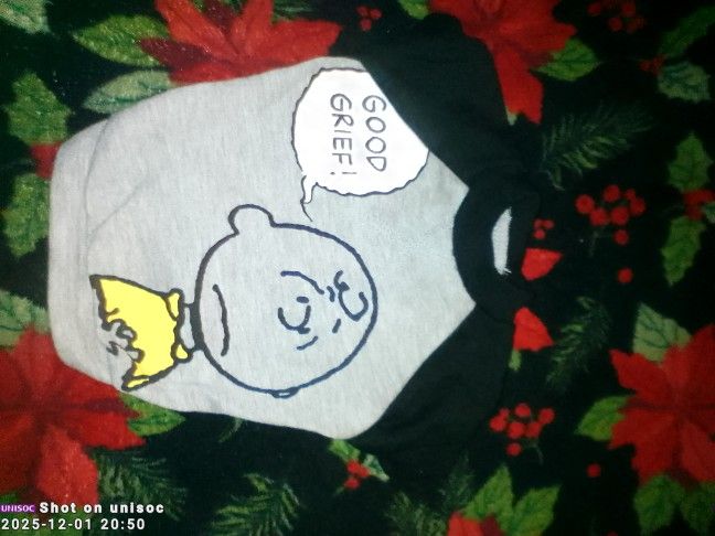 Charlie Brown Shirt & Black C. B. Hoodie For Small Dog Or Puppy