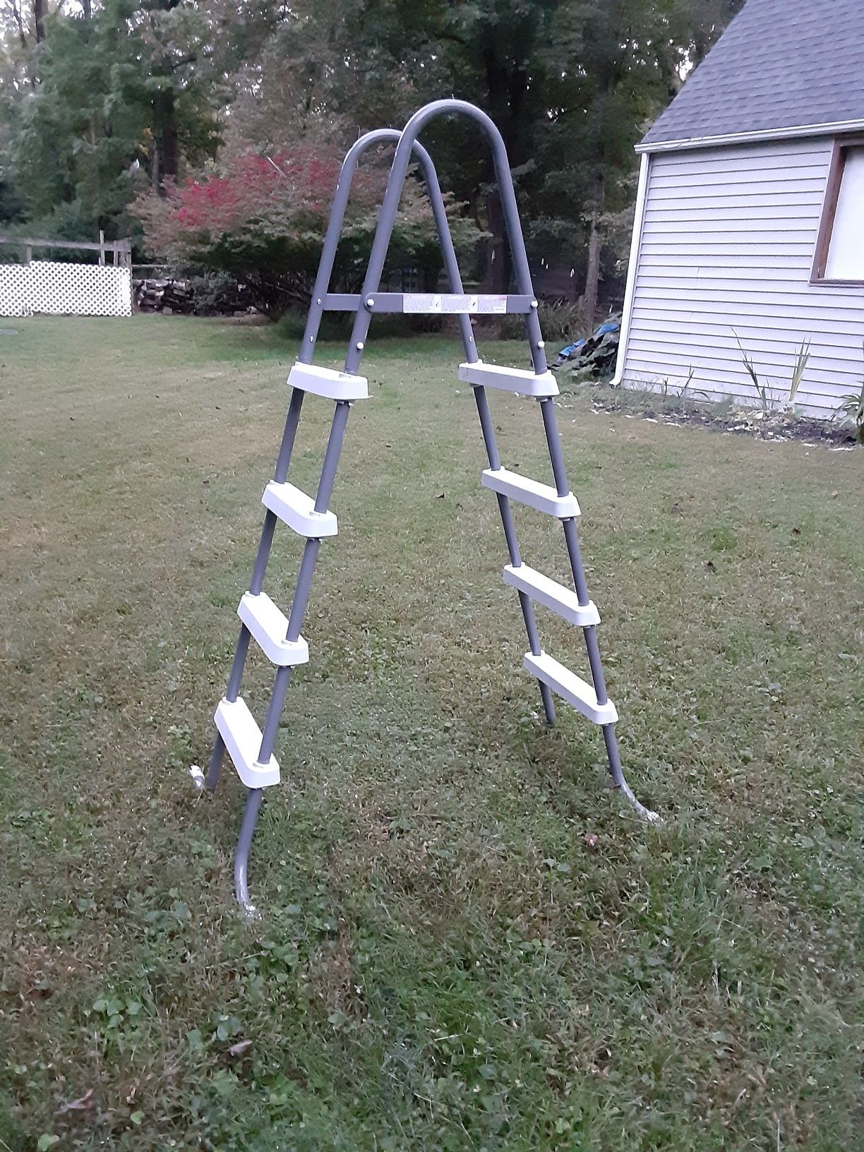 Pool ladder.