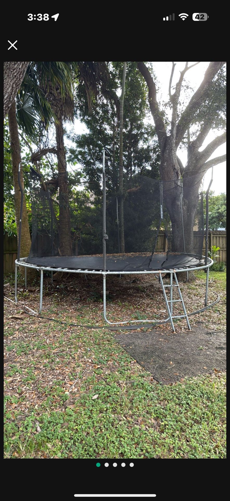 Trampoline FREE
