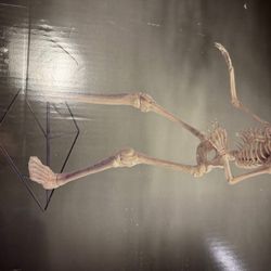 Spirit Halloween Grimm 