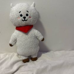 BT21 RJ