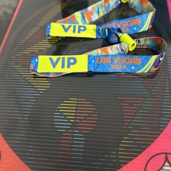 EDC 2024 Vip Passes