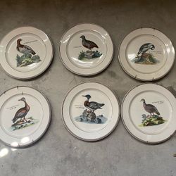 Villeroy & Boch ‘Paradiso’ Dinner Plates/Set of 6