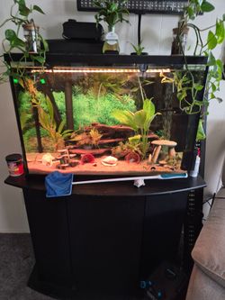 Aquariums