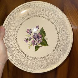 Dinner Plates
