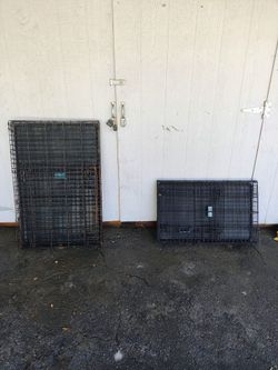 Metal dog crates