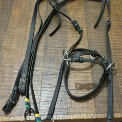 Hackamore And Reins   
