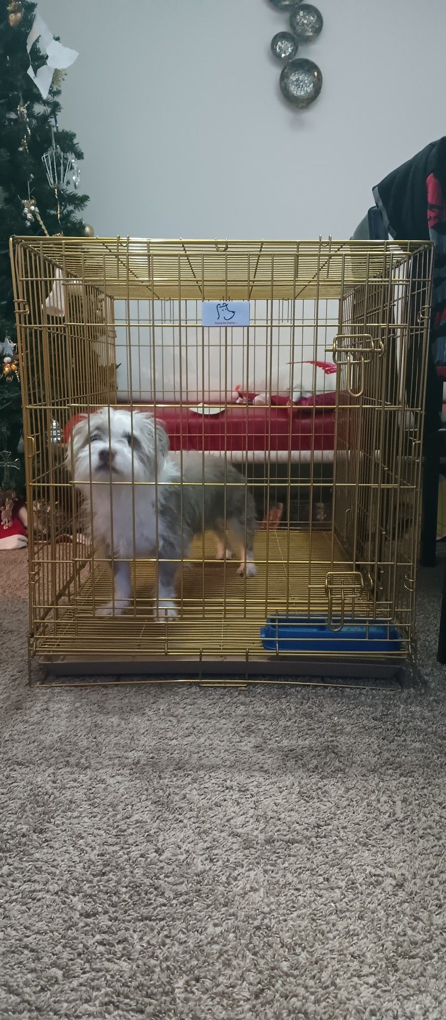 Xl Dog Cage , 3 door To Get In And out Of