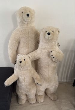 Bears