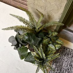 Fake Plants 
