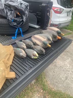 Duck Decoys 4 sale