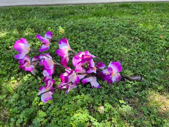 Flower Decoration