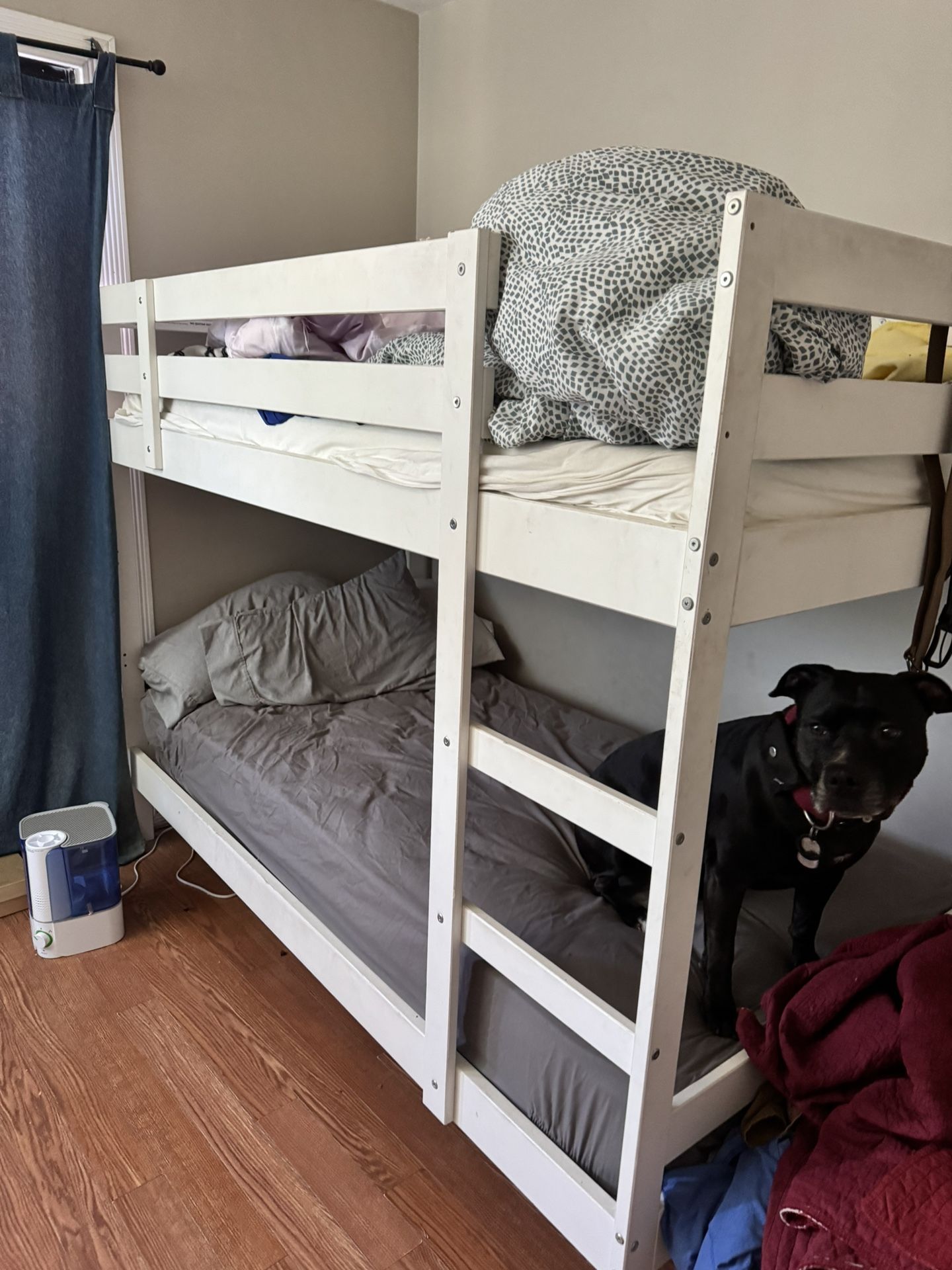 Bunk Bed 