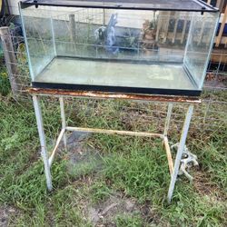 50 Gallon Reptile Tank with Lid And Stand