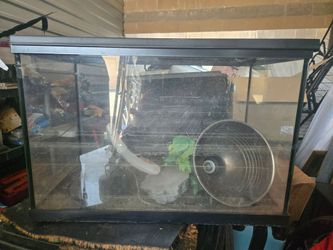Glass Terrarium Tank with Accessories