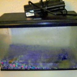 10 Gallon Fish Tank $15 With Everything You Need