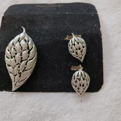 Pretty Pin Matching Ear Rings