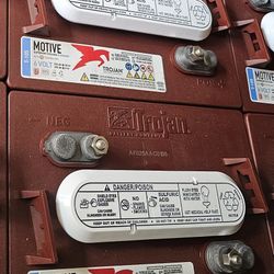 New 6volt battery with 225AH, 1-year warranty 