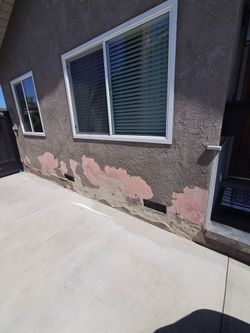 Stucco