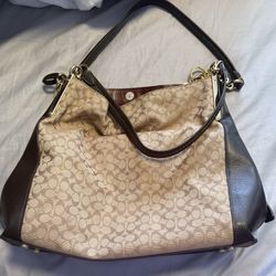 Bosch Bag