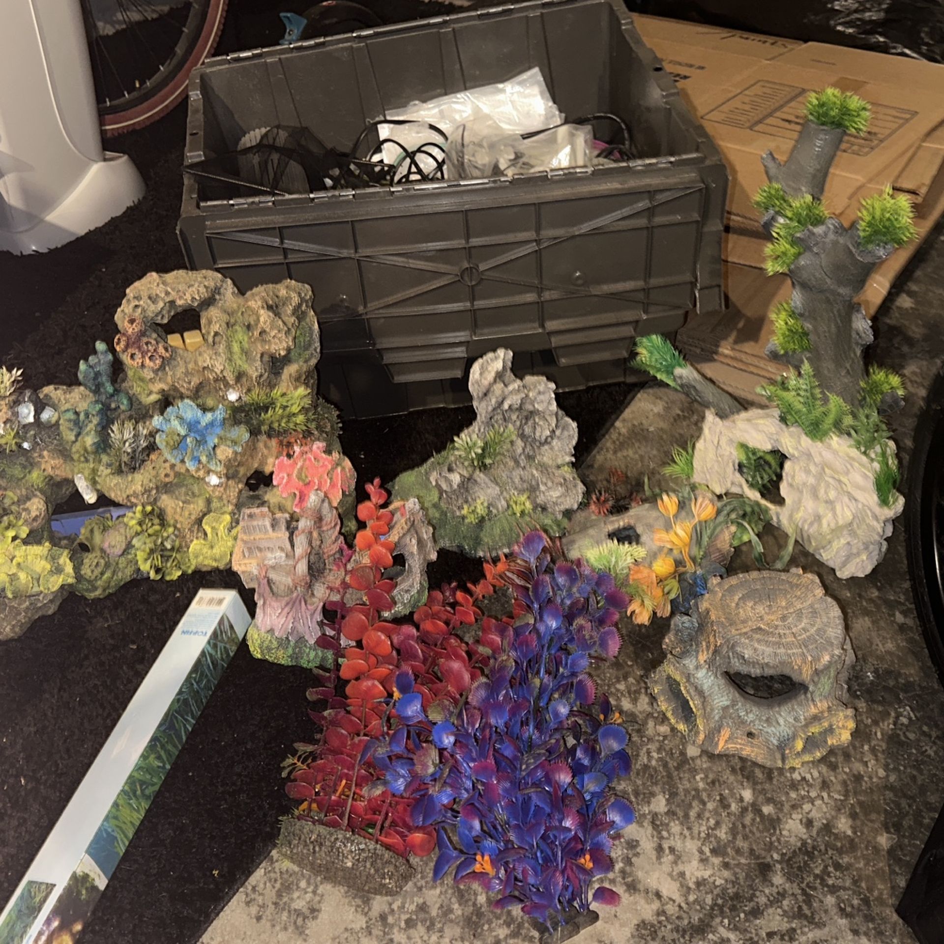 Big Fish Tank Lot