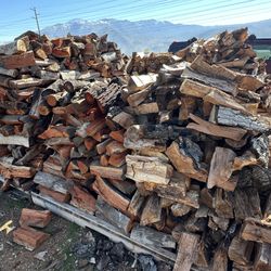 Eucalyptus Firewood True Cord