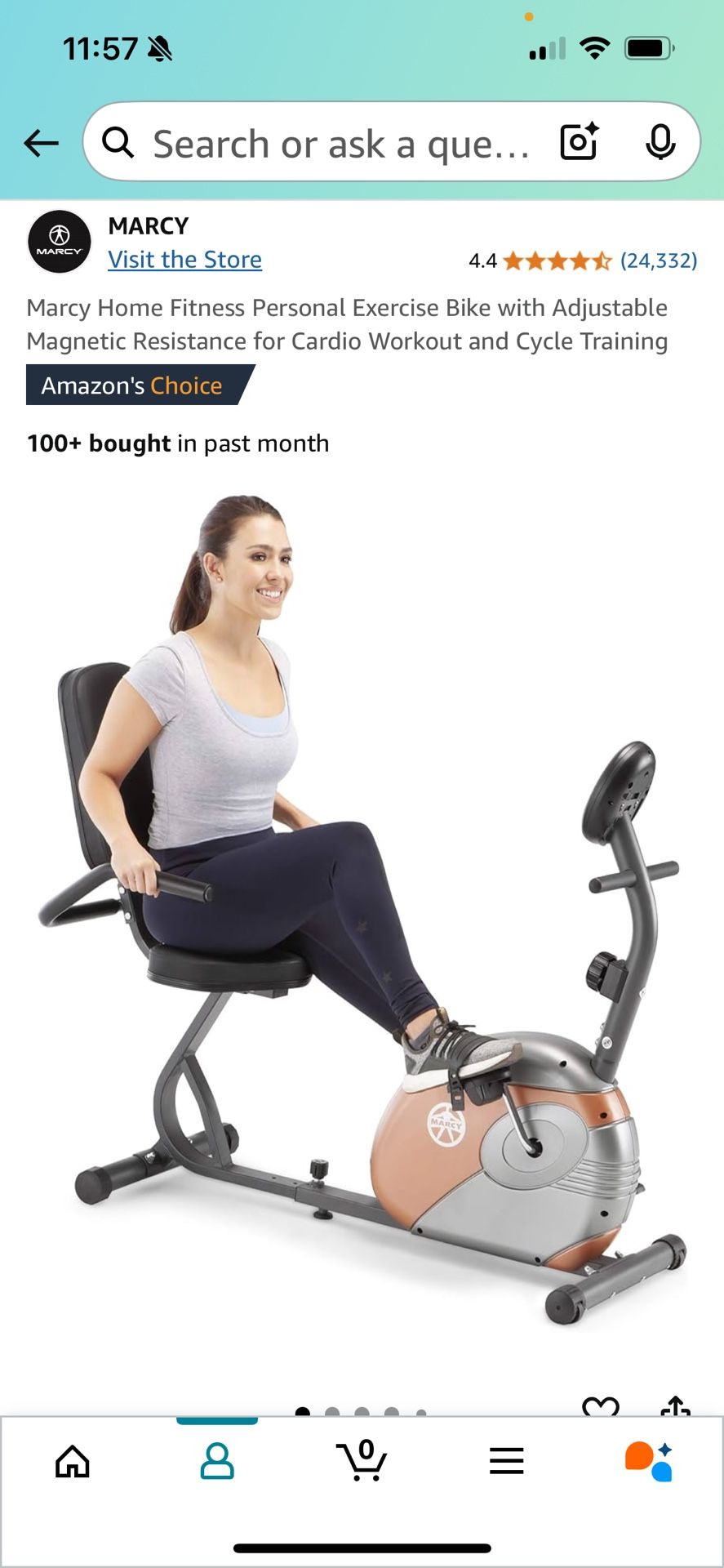 Recumbent Bike