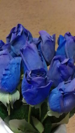 Blue Rose 10 pcs