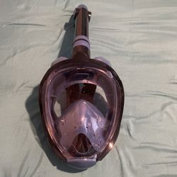 Snorkel Mask