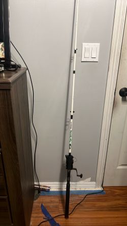 Tiger Spinning Shakespeare Fishing Rod