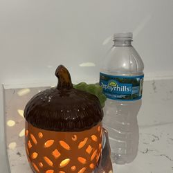 6” 🐿️LED ACORN Shaped Lantern 