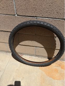 Carlisle tire Schwinn
