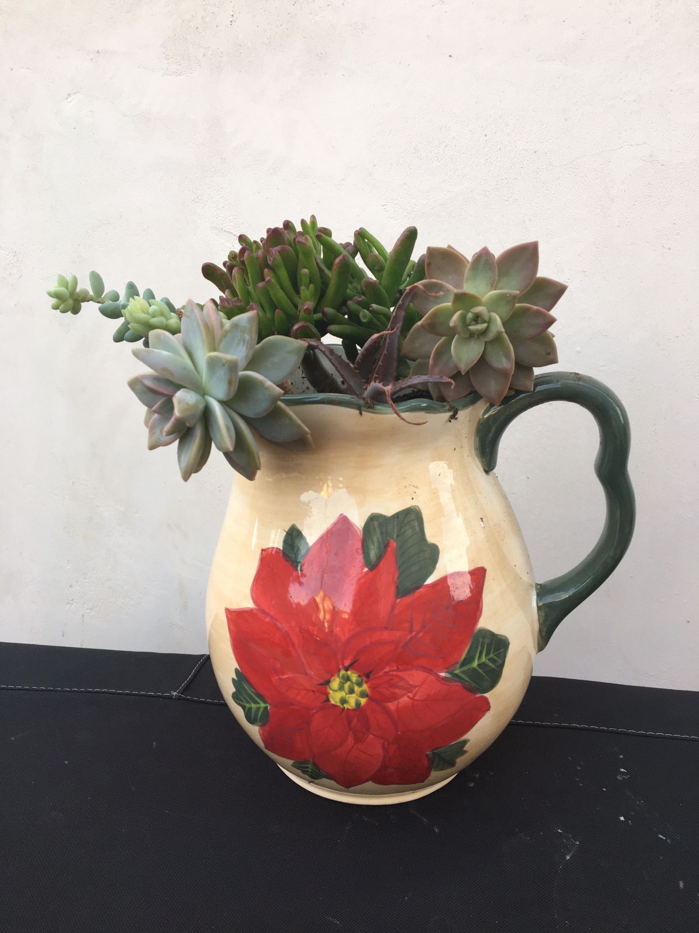 Potted Succulent 