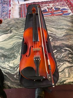 14 Viola Solid